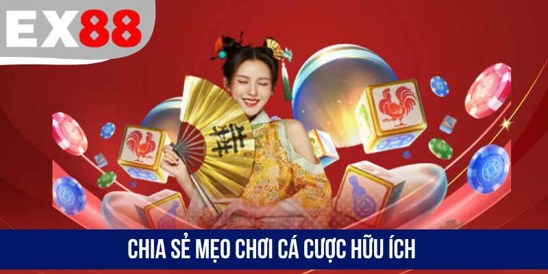 Chia sẻ mẹo chơi cá cược hữu ích