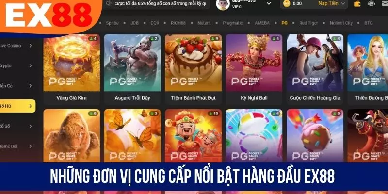 Những đơn vị cung cấp nổi bật hàng đầu